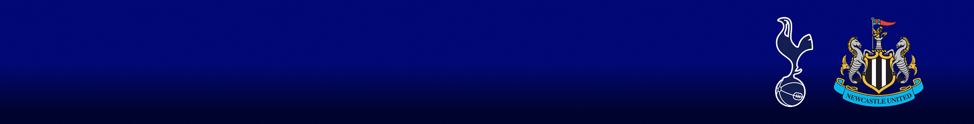 PREMIER LEAGUE. TOTTENHAM VS NEWCASTLE